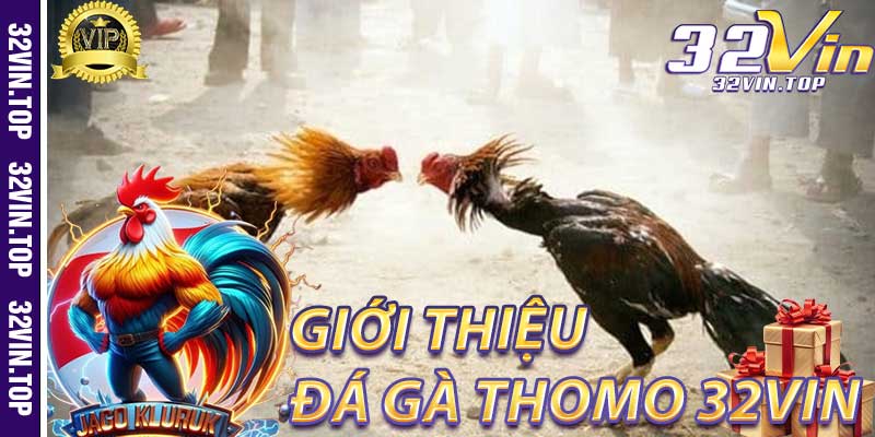 Giới thiệu về Đá Gà Thomo