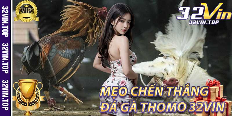 Những mẹo để chiến thắng trong Đá Gà Thomo